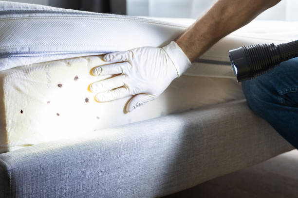 Best Bed Bug Extermination  in Clarksville, IN