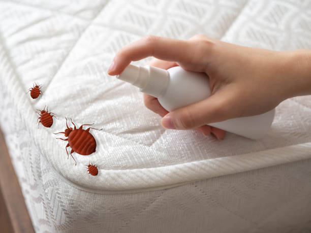 Best Pest Inspection Near Me  in Clarksville, IN